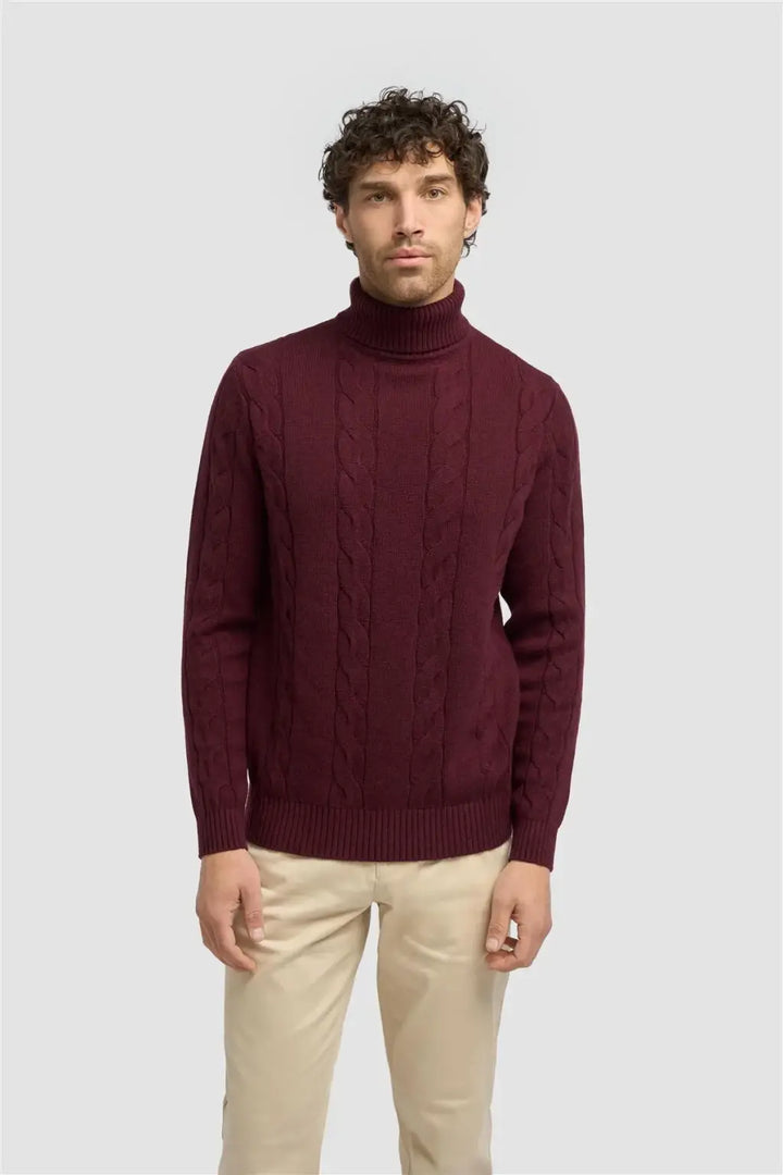 Cavani Men’s Archie Rollneck Jumper - Knitwear