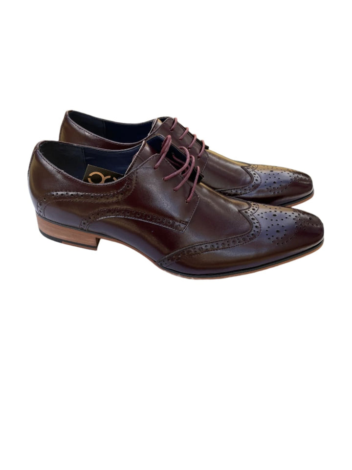 Cavani Conrad Derby Brogue Wine Shoes - 12