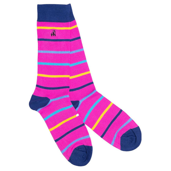 Pink Multi Stripe Socks - UK 7-11 (US 8-12 / EU 40-47) - Socks