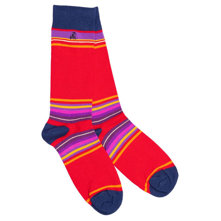 Red Multi Stripe Socks - UK 7-11 (US 8-12 / EU 40-47) - Socks